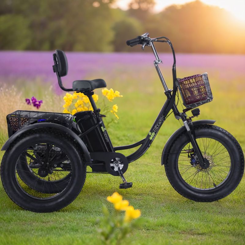 Трехколесный электровелосипед Fat Trike T NEW 750W с передней корзиной Трехколесный электровелосипед Fat Trike T NEW 750W с передней корзиной